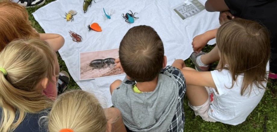 Kinder sitzend auf dem Gras und davor ein weißes Plakat mit Käfern