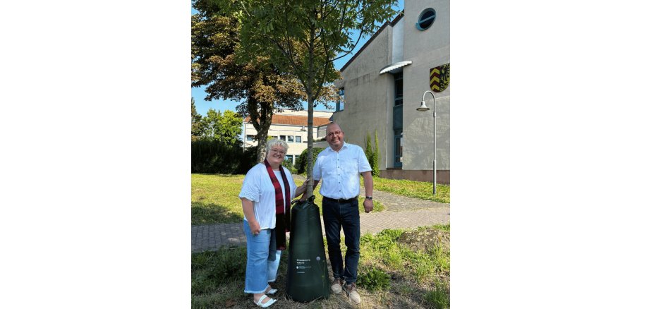 Mann und Frau halten sich an einem Baumstamm fest